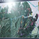 삼성산 (481m)번개 산행 이미지