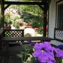 솔바람 들꽃향기 이미지