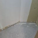 백옥대로1898번길 이미지