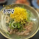 문경시청 1층 | 문경 오면 당 맛집 후기 뼈국수 미친 퀄리티! 자가제면 깊은 인생국수