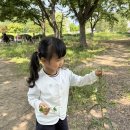 [바깥놀이] 나비 날개를 꾸며주어요~🦋 이미지