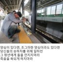 구의역 사고 19세 청년을 비웃는 메갈(위마드)... 이미지