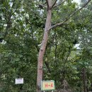 상사6 2소교량 | 강원도 캠핑장 계곡 있는 철원가산농원캠핑장 H4 후기