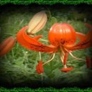 넓은세상 이미지