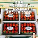 미자네과일