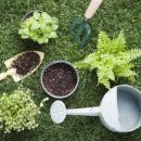 달성군치매안심센터 이미지