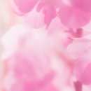 킨아이스토어 이미지