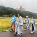 2022년 수원교구 생명사랑 마라톤/걷기대회 3 (22.10.03) 이미지