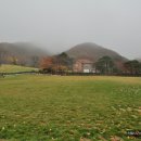 초기목장 이미지