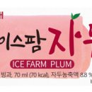 아이스크림팜