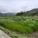 조양리마을회관 이미지