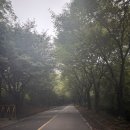 북동 | 청주골프장 올데이떼제베cc 마루(북동)코스 후기