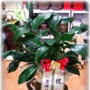 YG골프아카데미 이미지