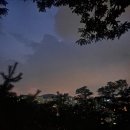 응봉산 팔각정 | 서울 야경 명소 서울 출사지 추천 응봉산 팔각정