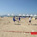 동해시-14 이미지