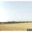 평택목장 이미지