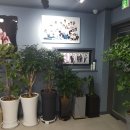 명일동사진관 네이버블로그