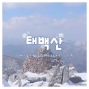 세븐일레븐 광주비아하늘점 | [강원] 알레버스 이용해서 겨울 태백산 등산하기｜알레버스 앱 소개, 강원 태백산 코스 소개, 등산 기록