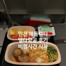 애틀랜타몰 | 인천 미국 애틀랜타 델타항공 이용 후기 기내식 비행시간 시차