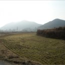 약산면-1 이미지