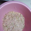 수제만두 이미지