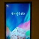 토리버치갤러리아광교 | 갤러리아 백화점 광교 (빌라 드 스파이시& 홍현주 마늘빵) 후기