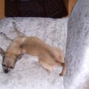 생활요가 이미지