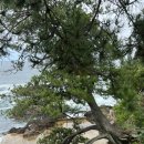 하늘빛 민박 이미지