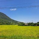 상노 2리 이미지