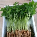 모두농장 이미지