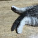 복길