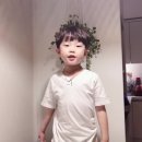 삼성숲유치원 - 고양시 덕양구 | 삼성숲유치원