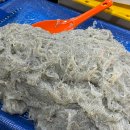 오라수산 | 2026년 당진 장고항실치회, 간장게장 내돈내산 포장후기(숙이네수산, 은실수산)