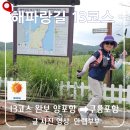가볼만한곳] 해파랑길 13코스 완주 후기: 양포항부터 구룡포항까지 기본정보·소요시간·포토존 총정리...