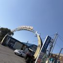 서귀포오일시장-사무실 | 서귀포오일향토시장, 제주오일장 날짜 헷갈리지 마세요!