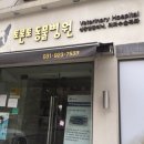 토론토 동물병원 이미지