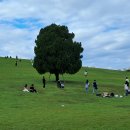 올림픽공원 이미지