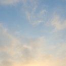 동탄중앙부동산 앞 이미지