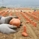 하남양떡메 이미지