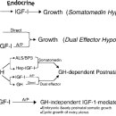 소마메디 이미지