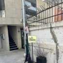 심플 플레져스