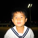 용석 Daum카페