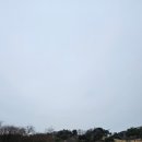 올데이 로얄포레 이미지