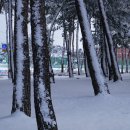 초당동-2 이미지