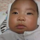 바다사랑투 이미지