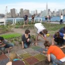 앙드레농장 이미지