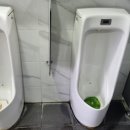 LPG충전소 화장실 이미지