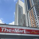 고양이무마취미용 냥지곤지 이미지