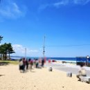 (주)동해글로벌 | 강원도 가볼만한곳 BTS 버스정류장 직접 다녀온 후기