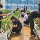 여주자영농업고등학교 이미지